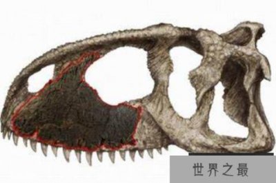​隐面龙：最原始的阿贝力龙(体长7米/距今1.25亿年前)