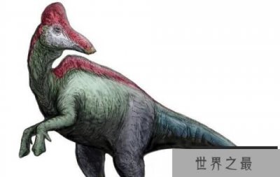 ​黑龙江龙：亚洲大型食草恐龙（体长10米/晚白垩世恐龙）