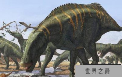 ​山东龙：中国大型食草恐龙（长15米/晚白垩世食草恐龙）
