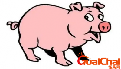 脑子最笨的3个生肖是什么?哪些生肖脑子最笨?